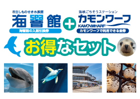 海響館お得なセット 画像