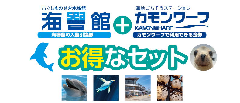 海響館お得なセット